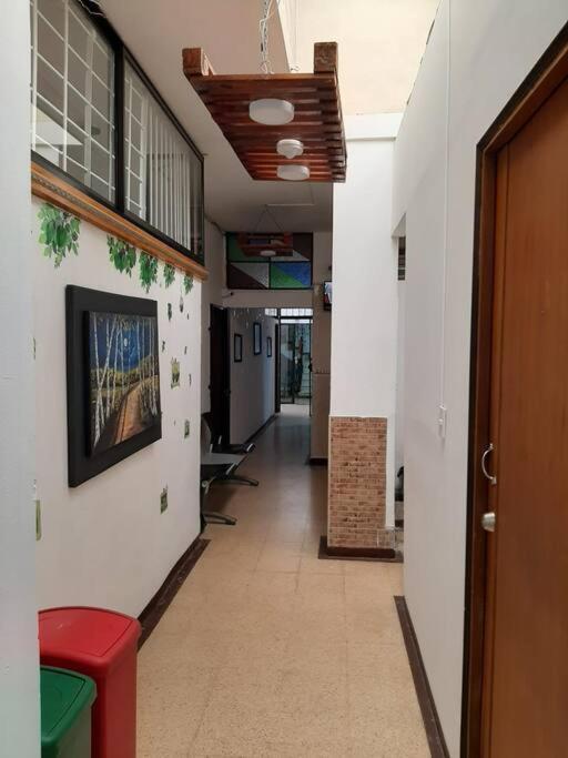Apartment Guadalupe 105